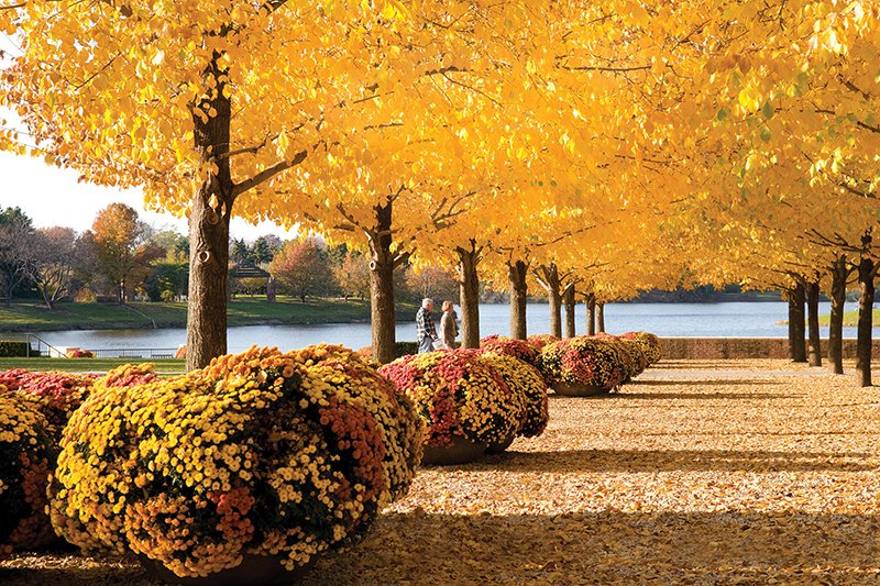 vẻ đẹp kì quan của Chicago