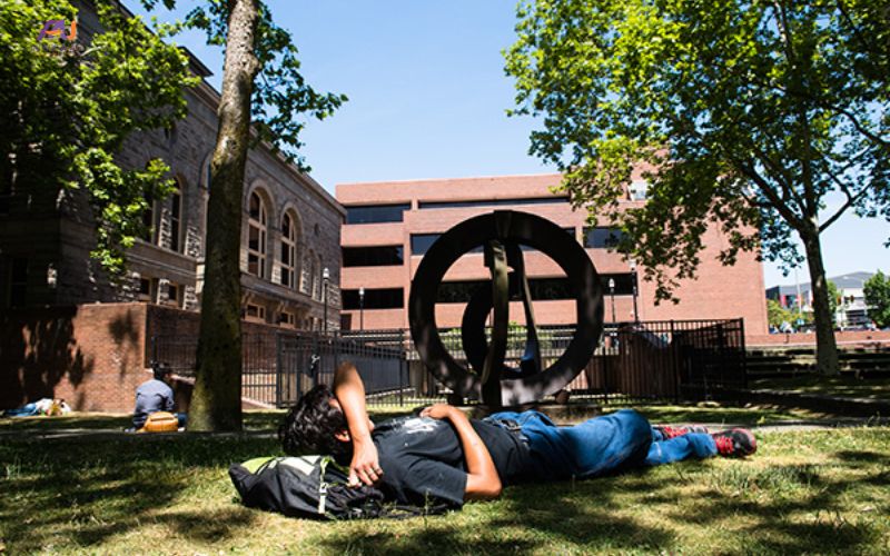 Seattle College 