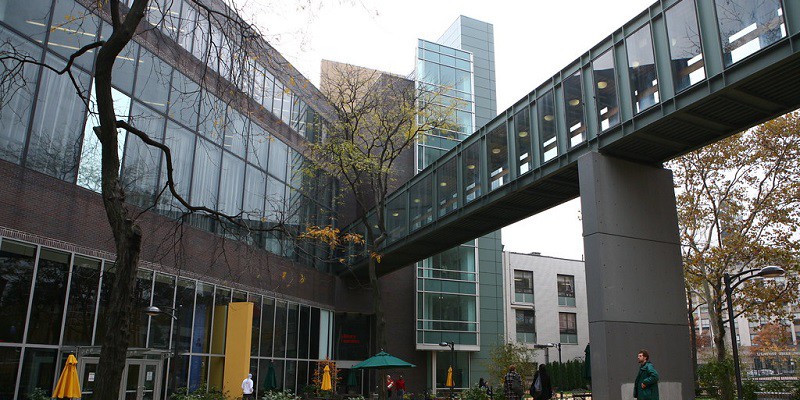 Long Island University Brooklyn 