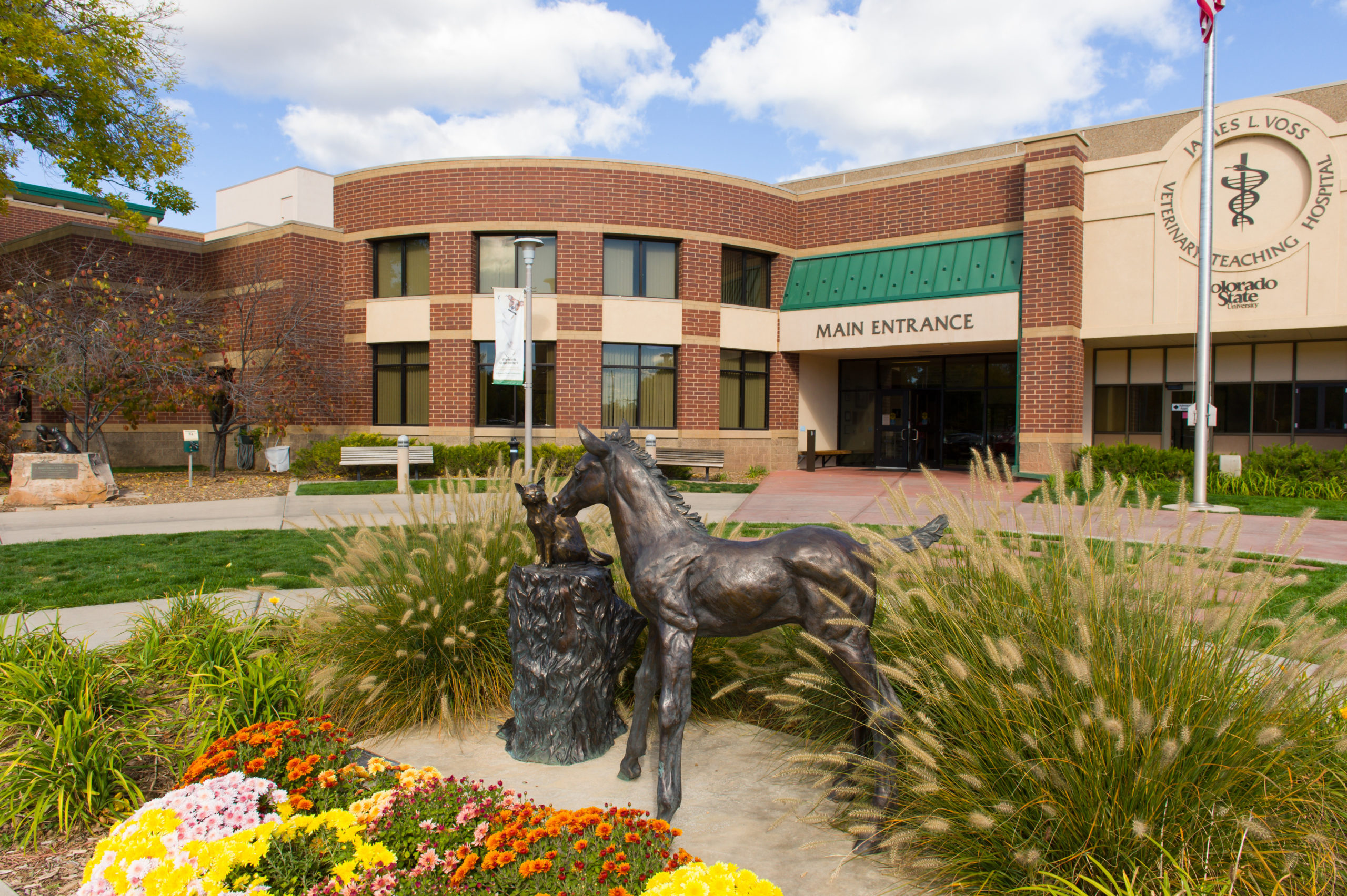 Bệnh viện Dạy học Thú Y Colorado State University.