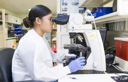 Sinh viên ngành kỹ thuật trong phòng lab