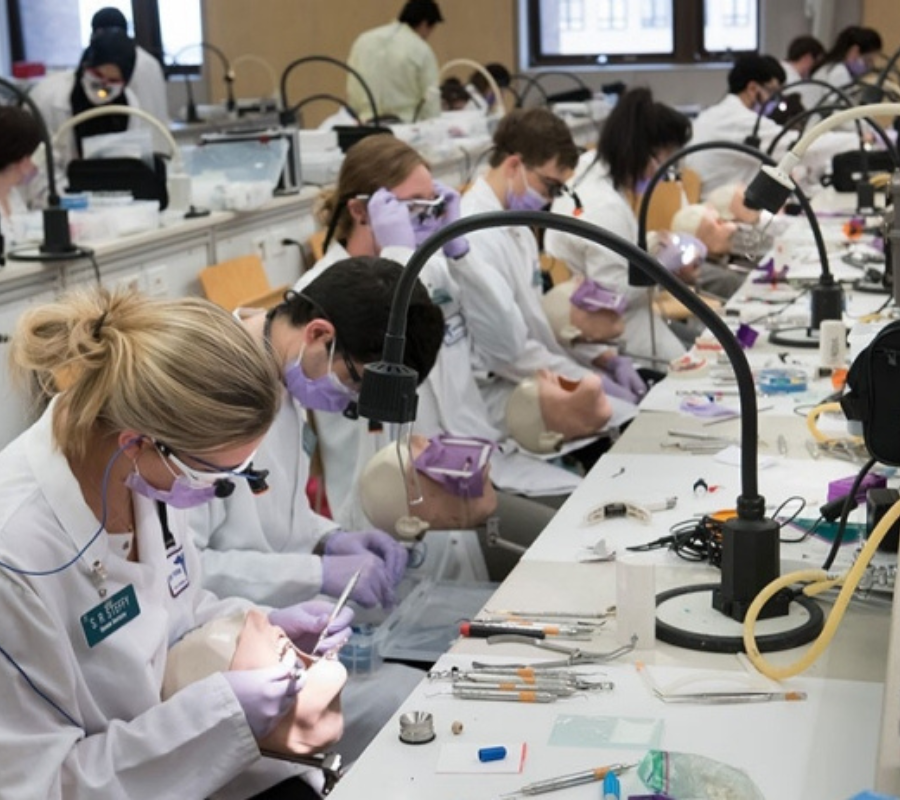 Du Học Mỹ Ngành Răng Hàm Mặt