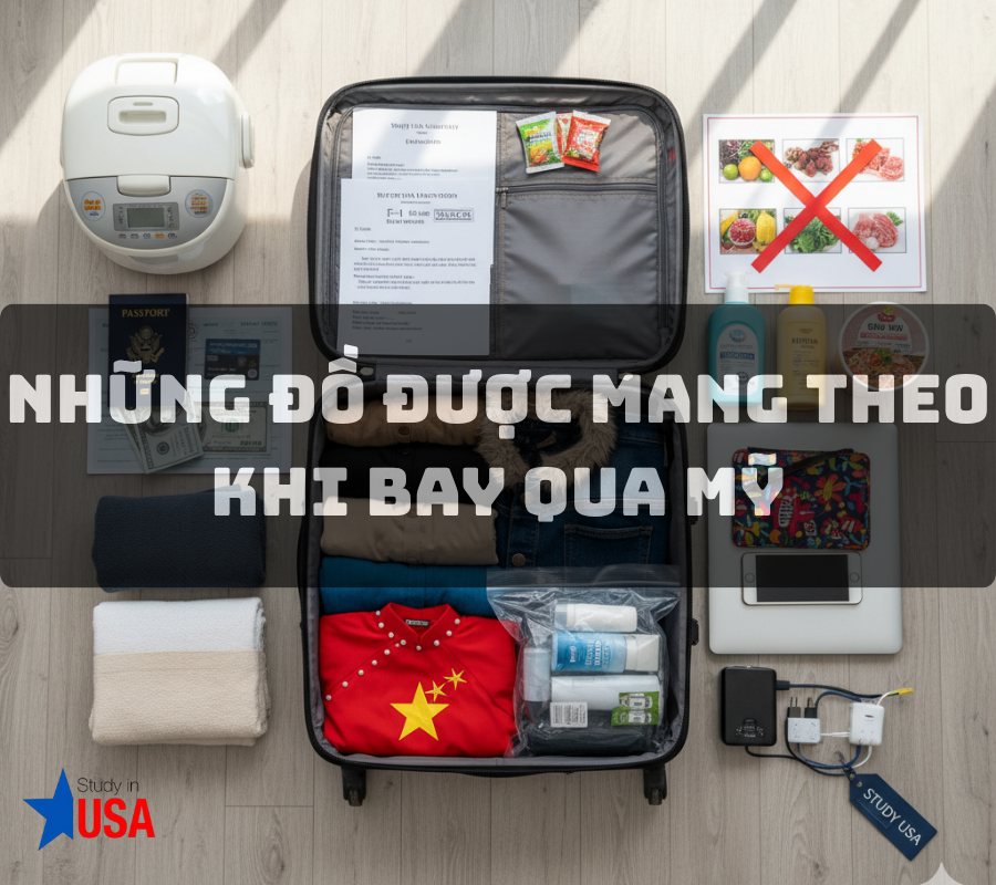 Những đồ được mang theo khi bay qua Mỹ