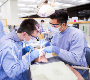 Sinh viên Việt Nam du học Mỹ ngành nha khoa