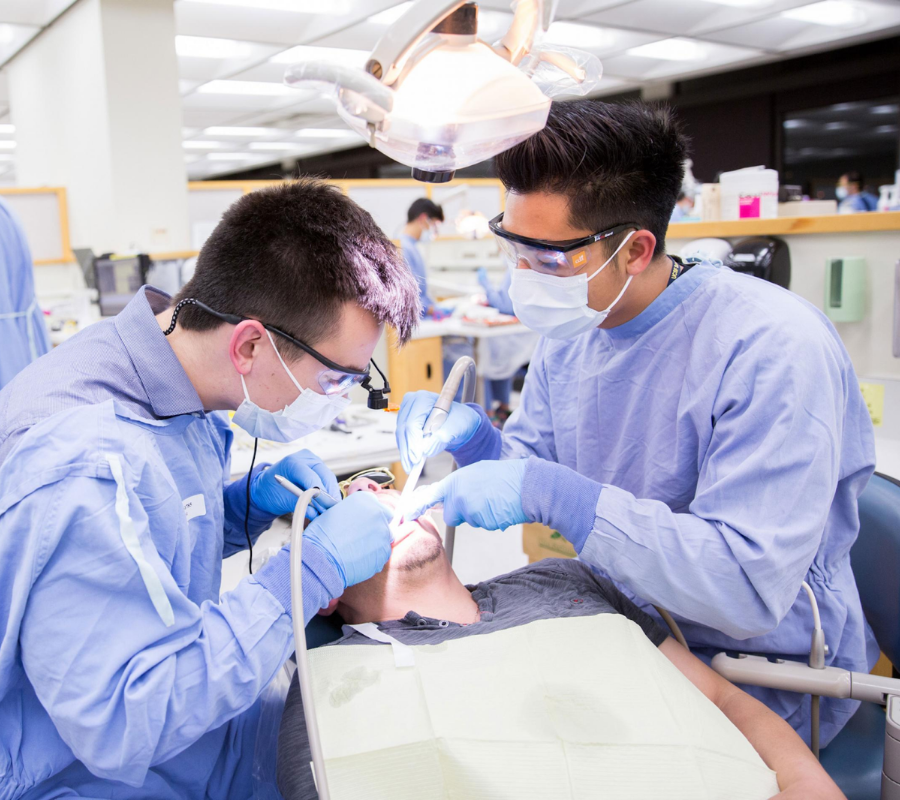 Sinh viên Việt Nam du học Mỹ ngành răng hàm mặt